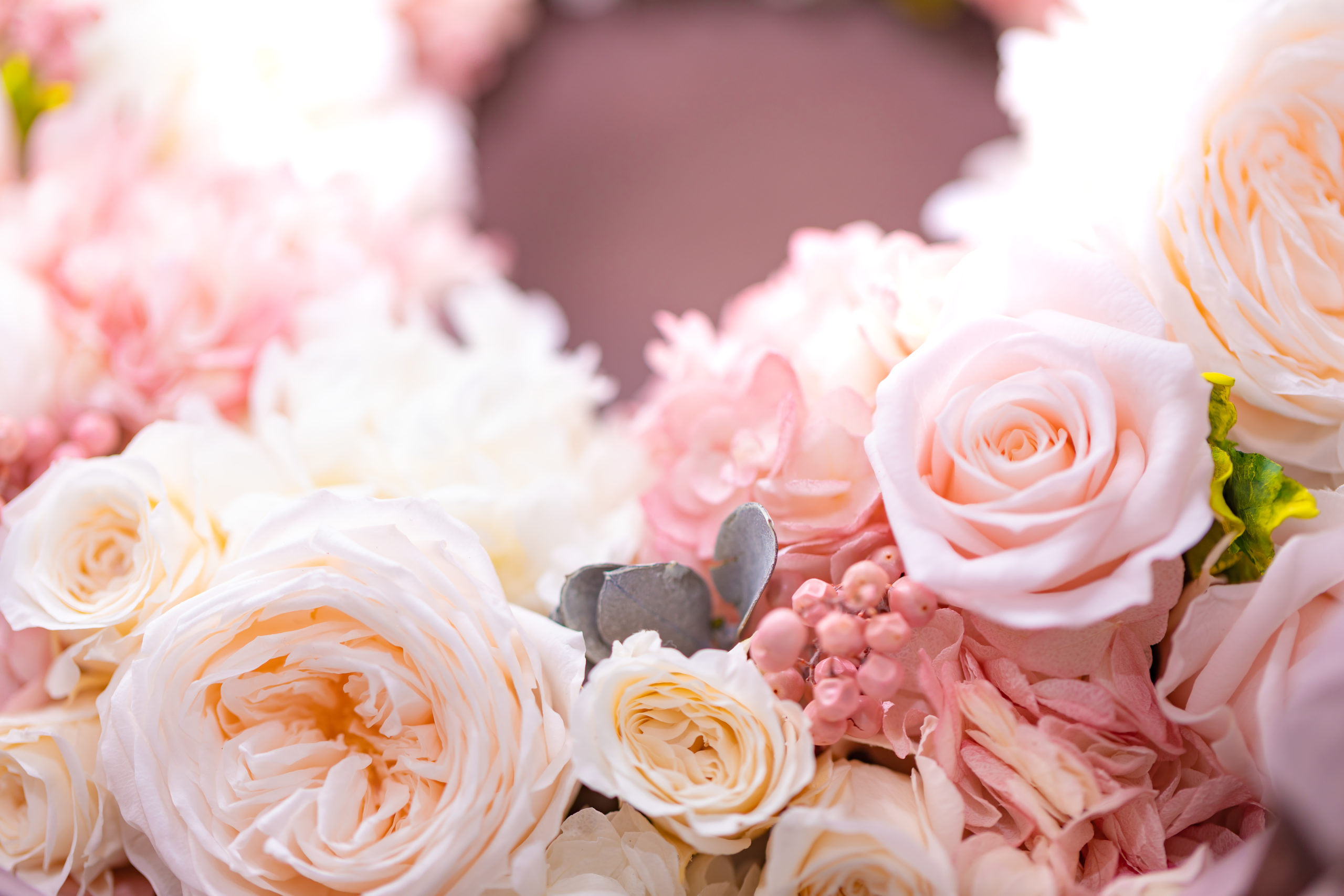 ブログをはじめました